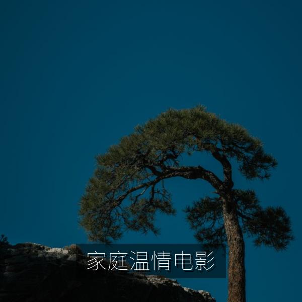 家庭温情题材电影画面