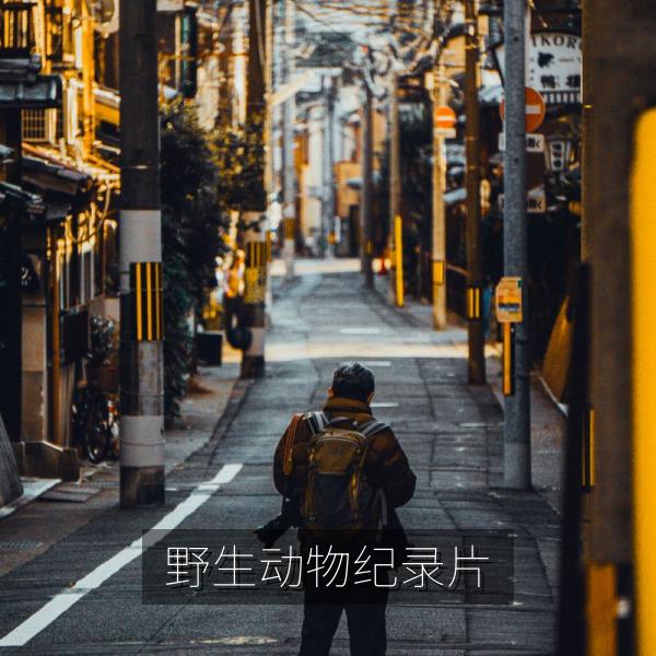 野生动物纪录片中的自然景观